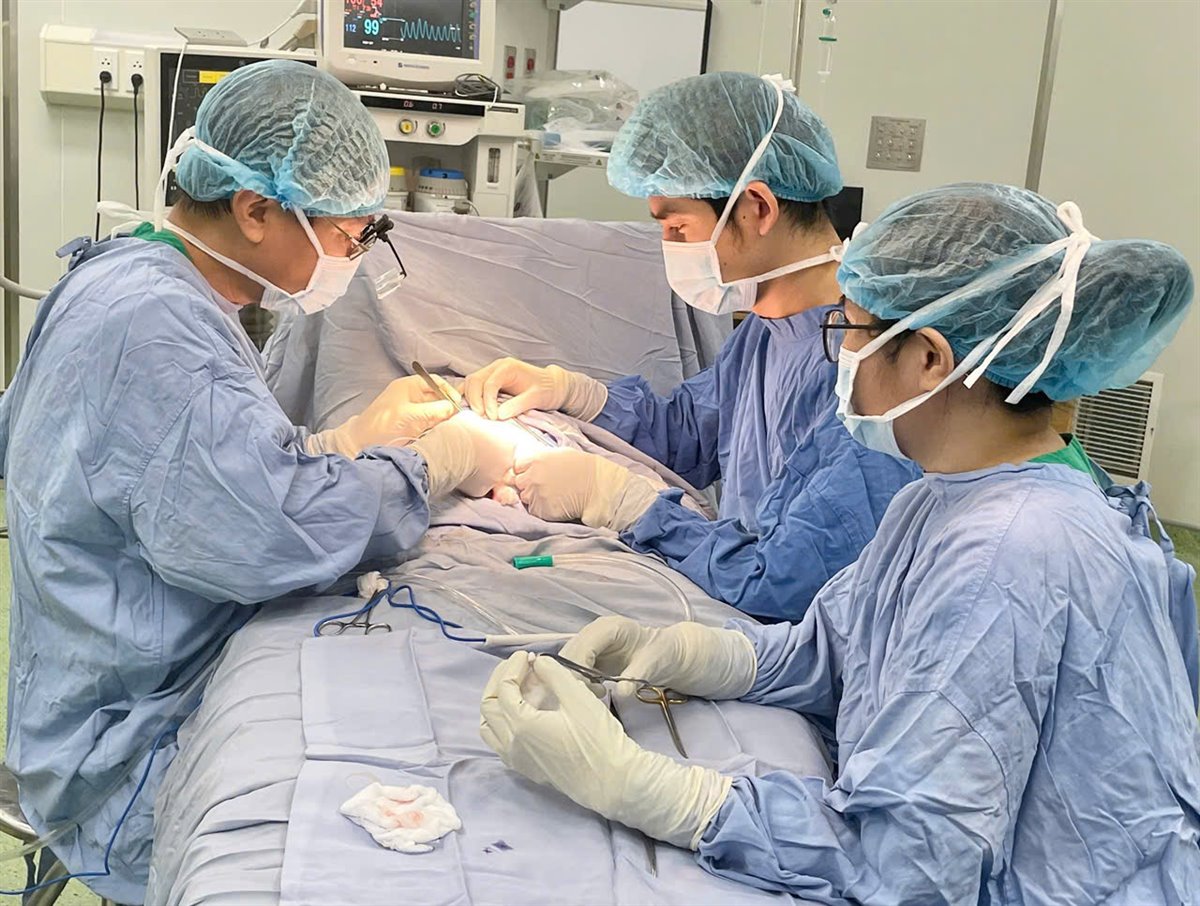 Hẹp da quy đầu ở trẻ em: Khi nào là bình thường, khi nào cha mẹ cần lo?