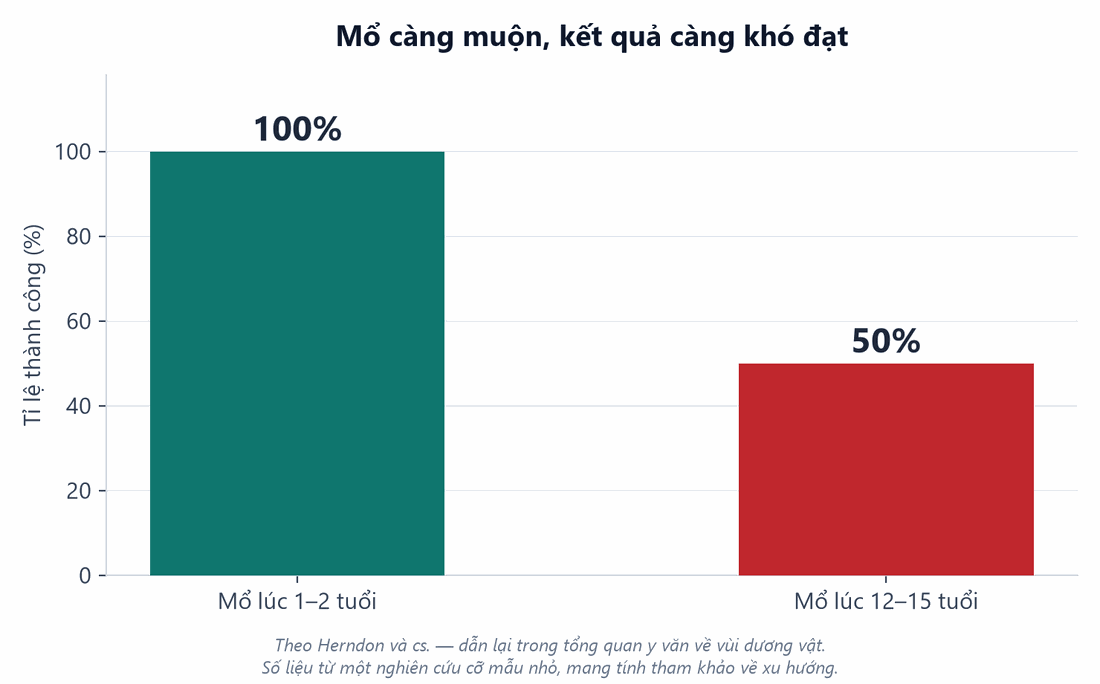 Biểu đồ tỉ lệ thành công theo tuổi mổ: mổ lúc 1-2 tuổi đạt 100%, mổ lúc 12-15 tuổi chỉ 50%
